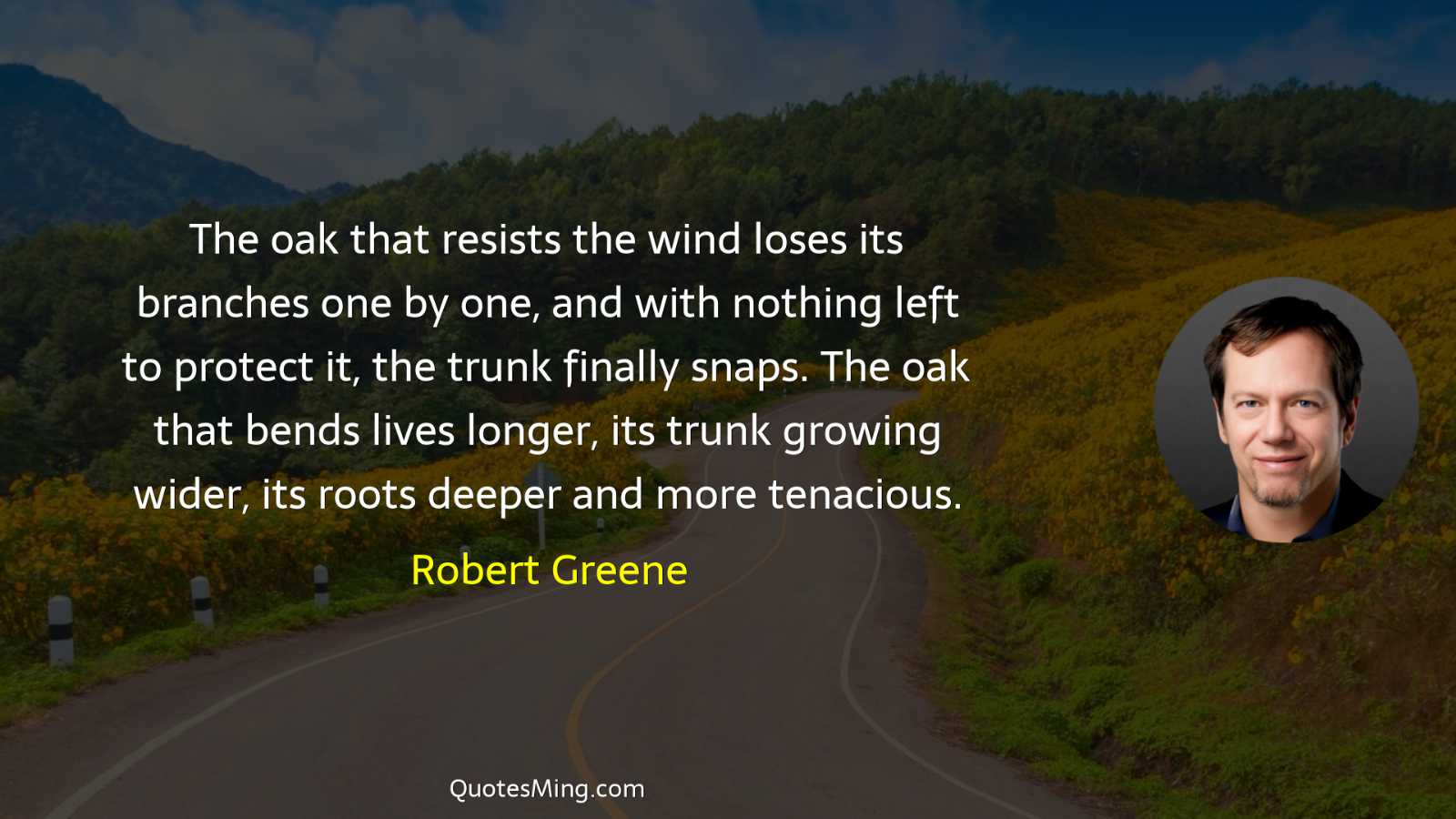 The oak that resists the wind loses its branches one