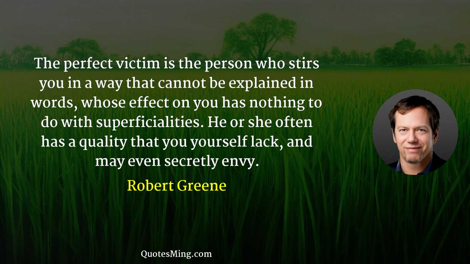 The perfect victim is the person who stirs you in