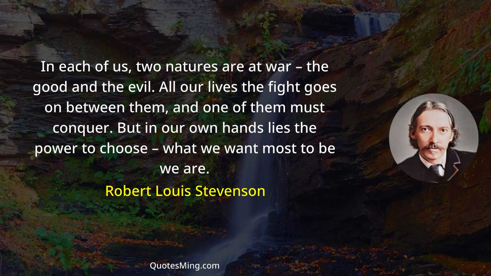 In each of us two natures are at war –