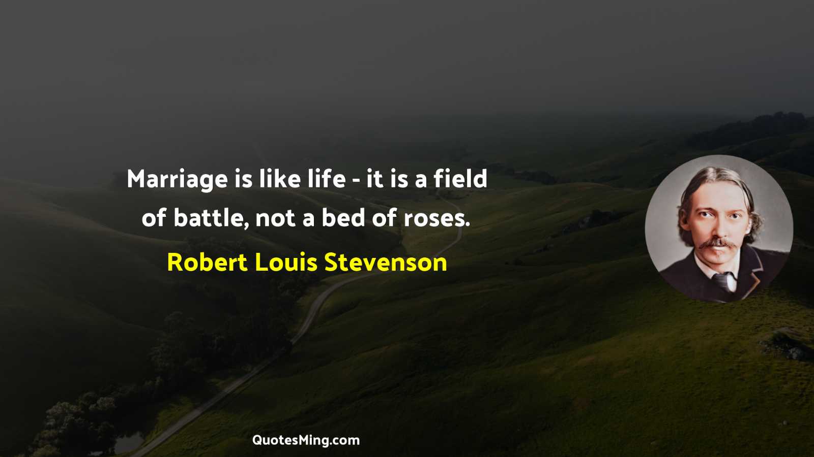 Marriage is like life - it is a field of