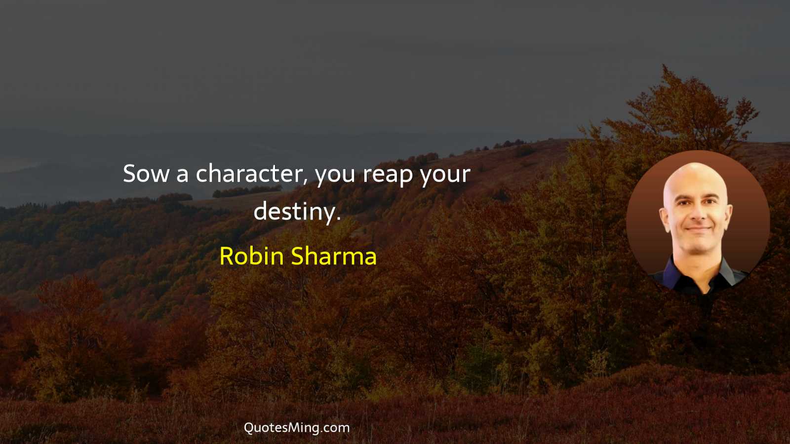 Sow a character you reap your destiny