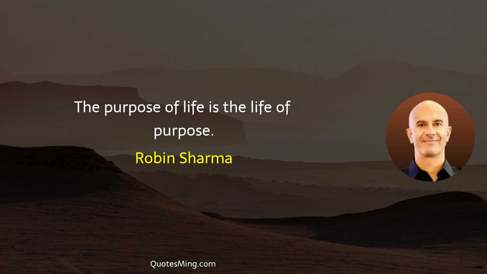 The purpose of life is the life of purpose