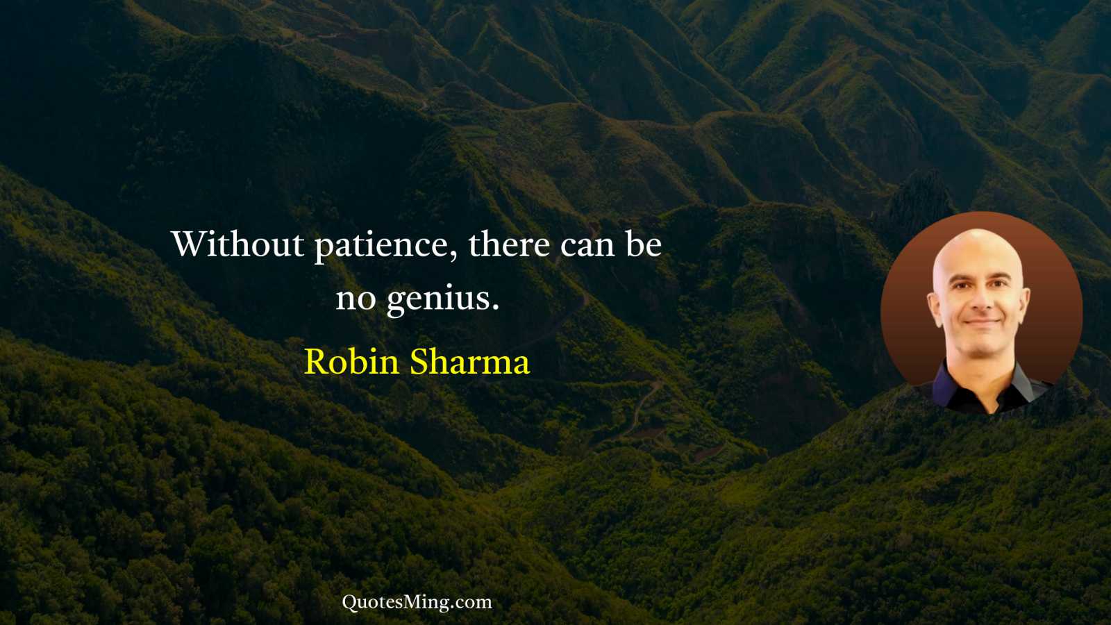 Without patience there can be no genius