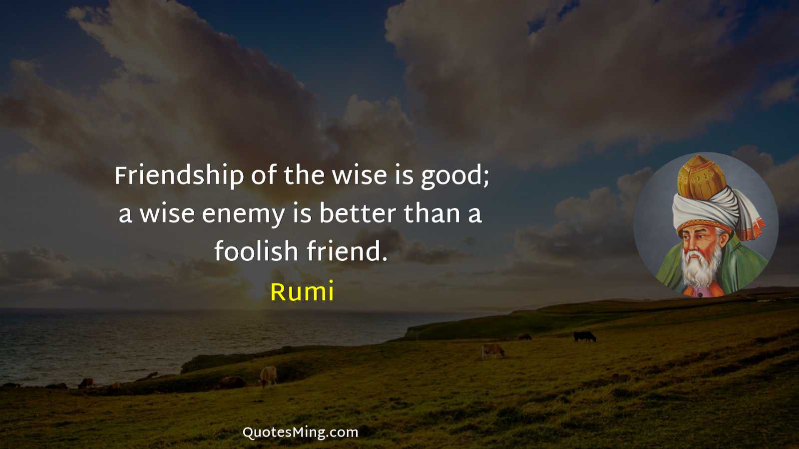 Friendship of the wise is good; a wise enemy is