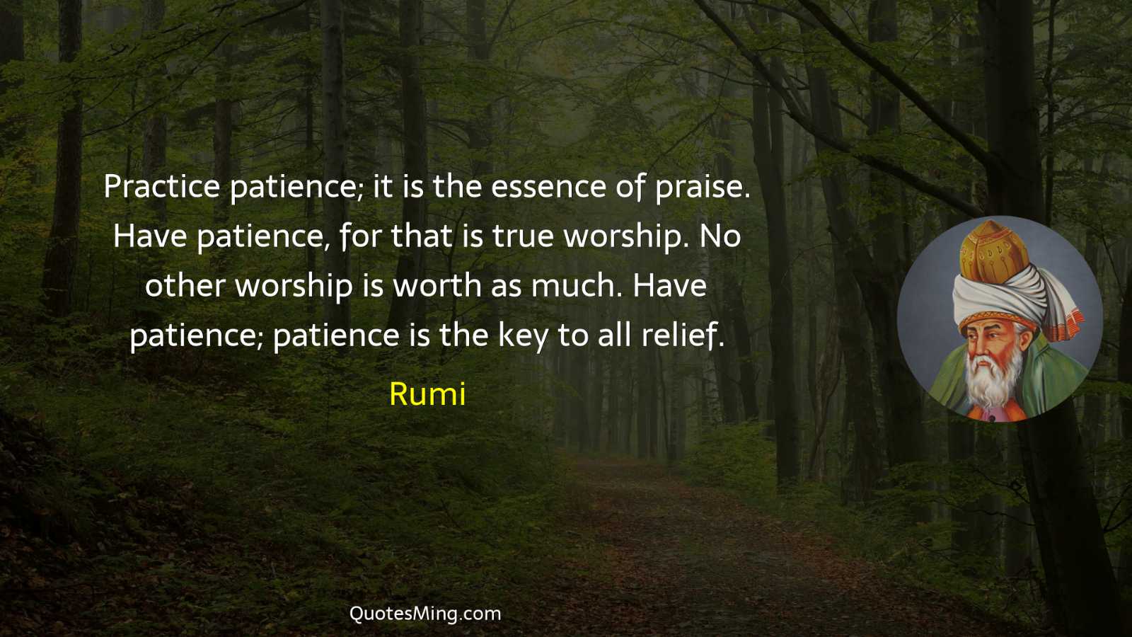 Practice patience; it is the essence of praise Have patience