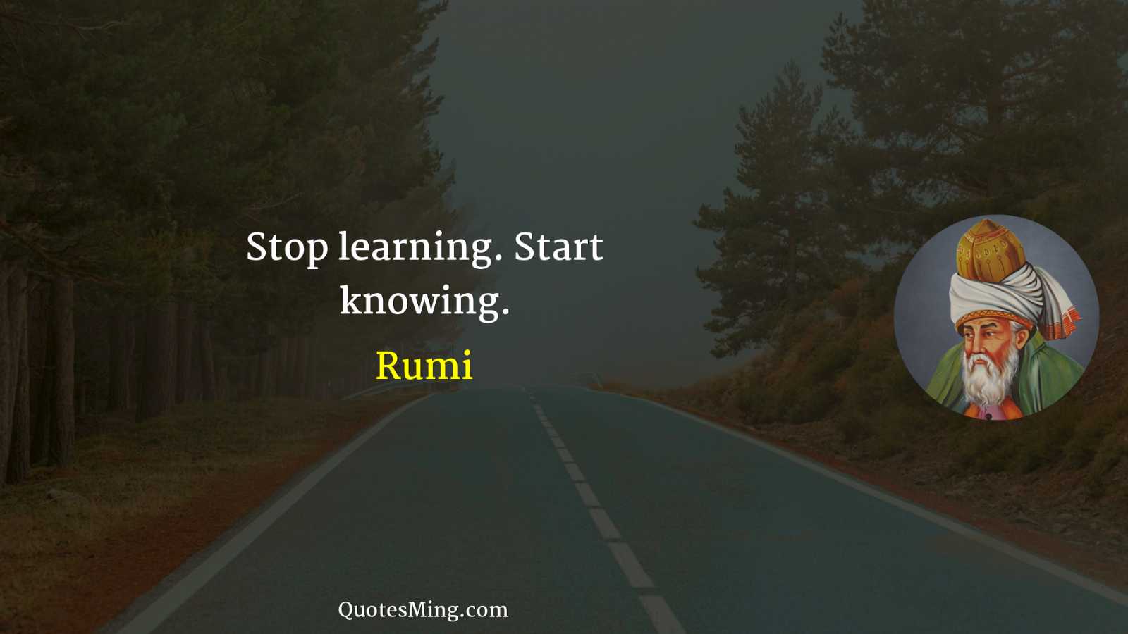 Stop learning Start knowing