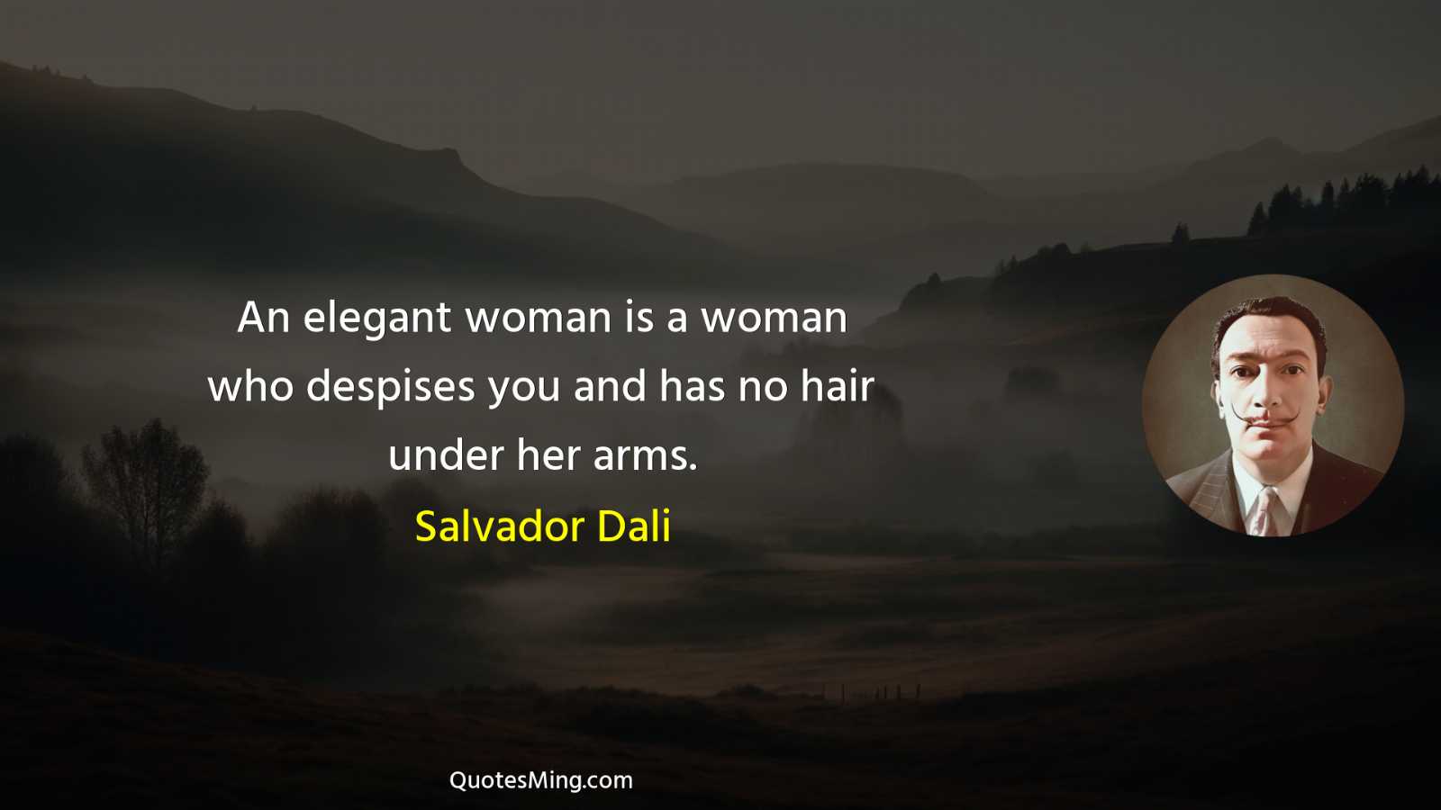 An elegant woman is a woman who despises you and