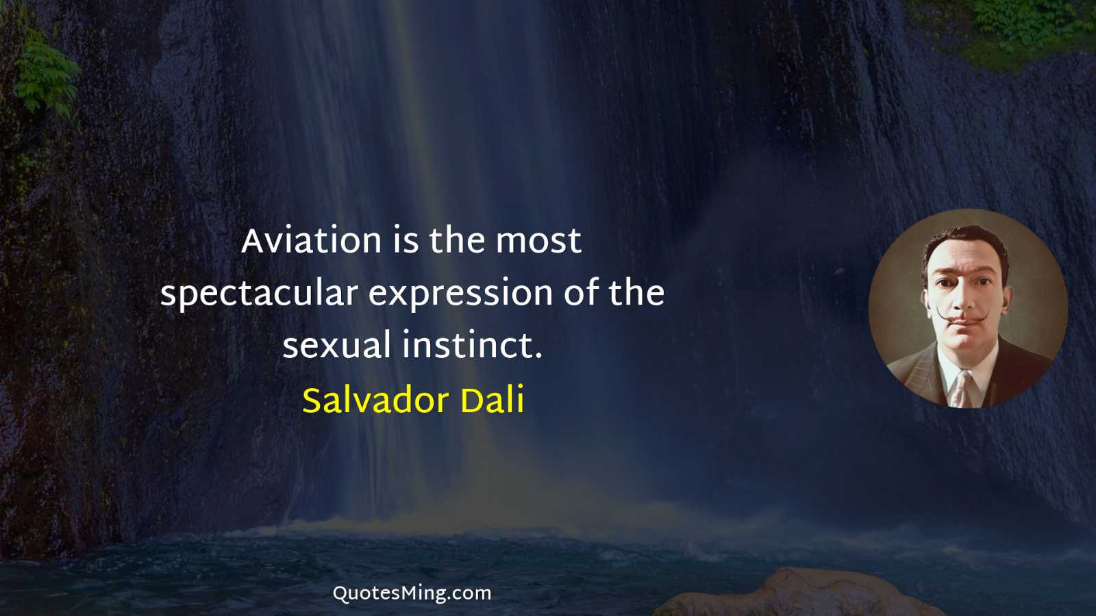 Aviation is the most spectacular expression of the sexual instinct