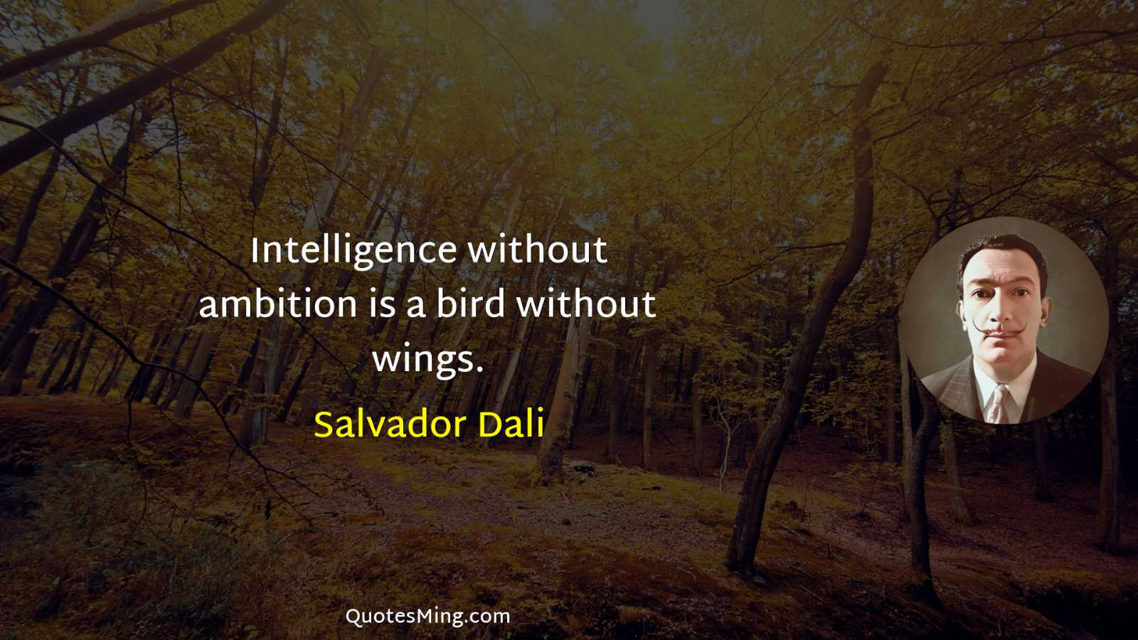 Intelligence without ambition is a bird without wings