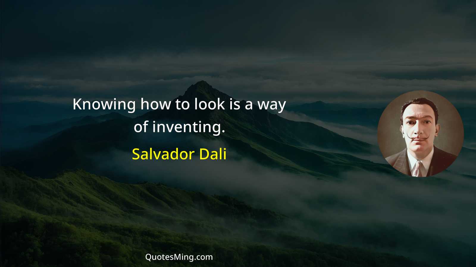 Knowing how to look is a way of inventing