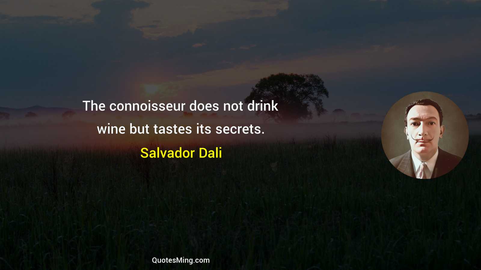 The connoisseur does not drink wine but tastes its secrets