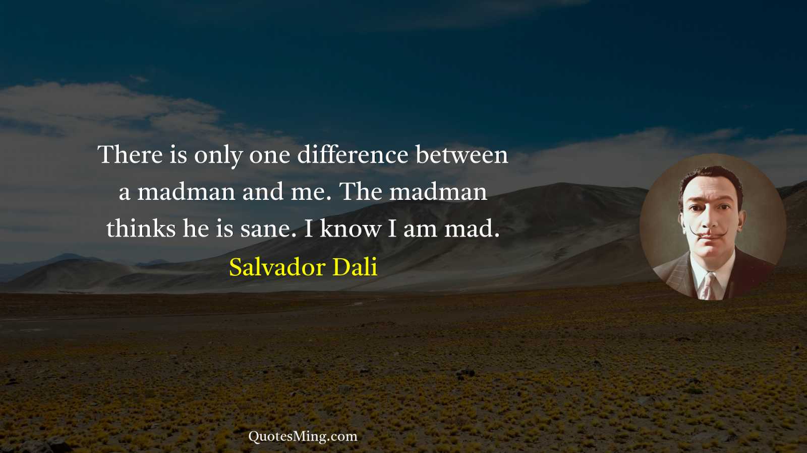 There is only one difference between a madman and me