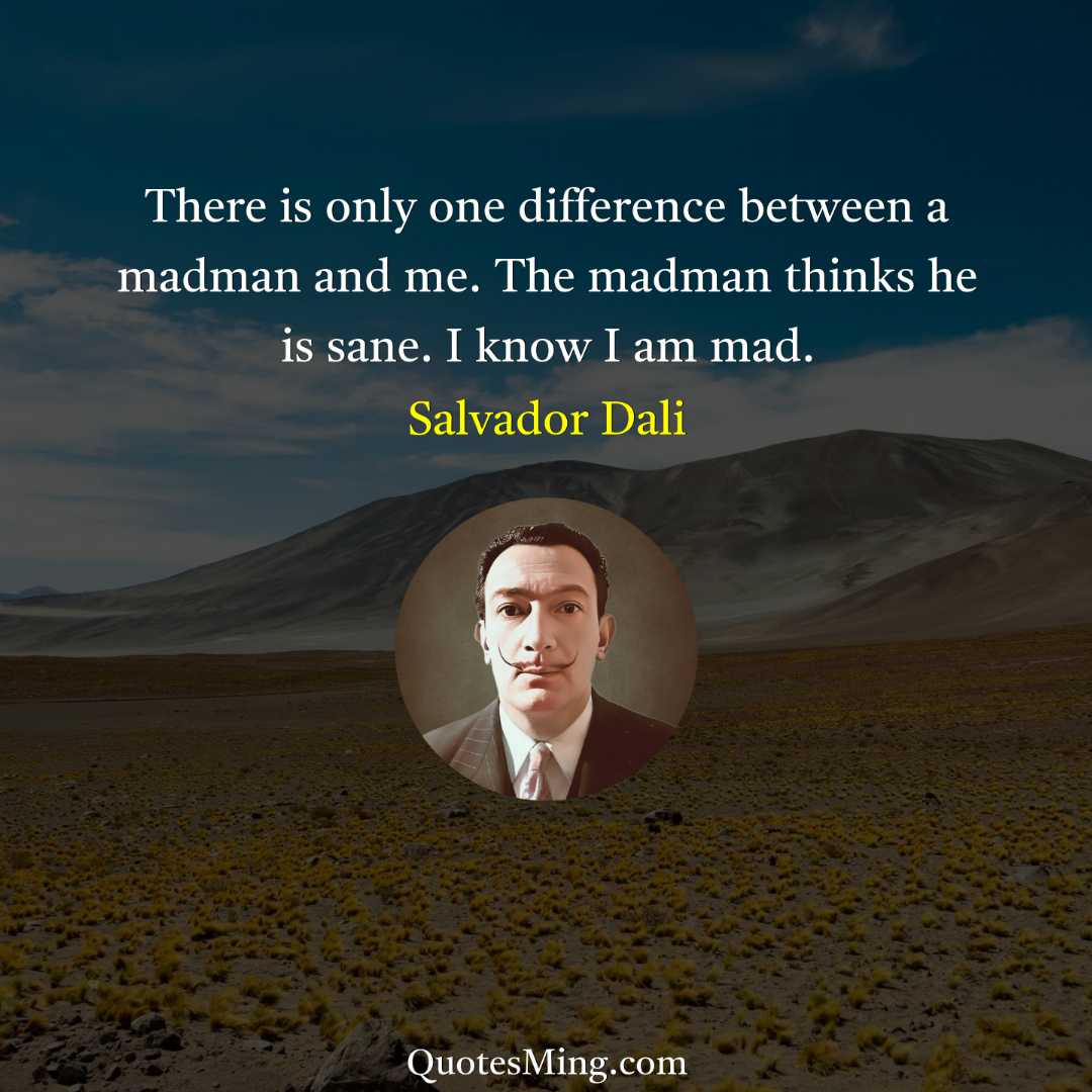 There is only one difference between a madman and me