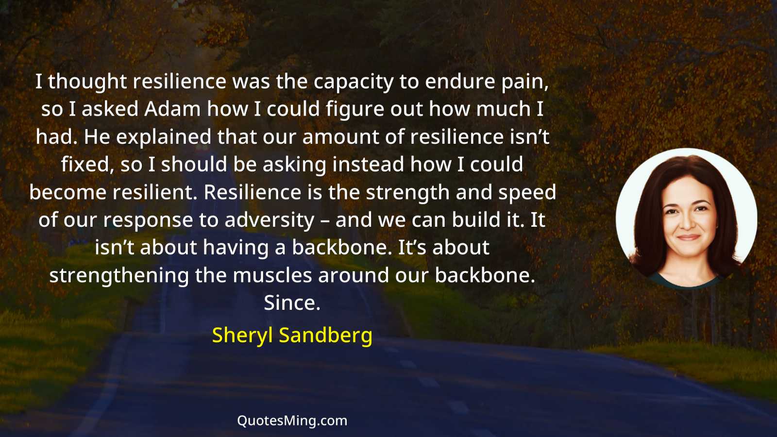 I thought resilience was the capacity to endure pain so