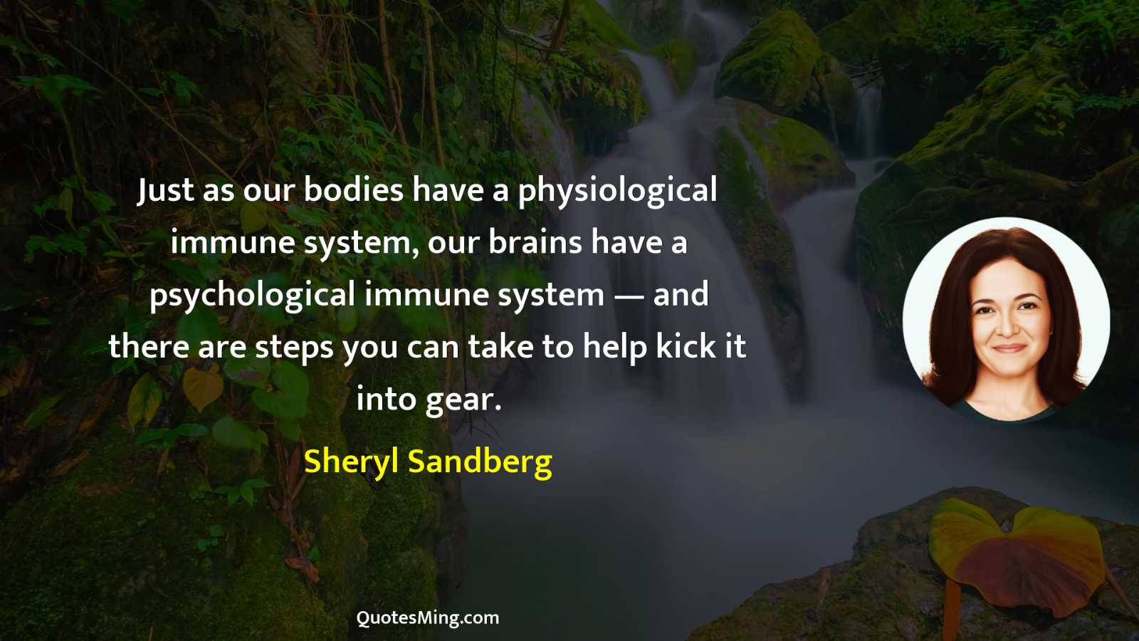 Just as our bodies have a physiological immune system our