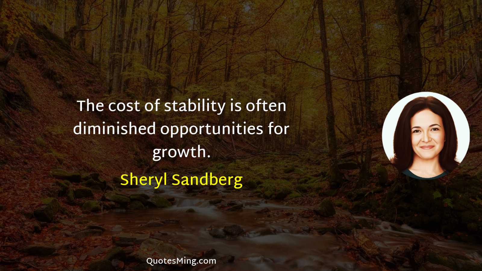 The cost of stability is often diminished opportunities for growth