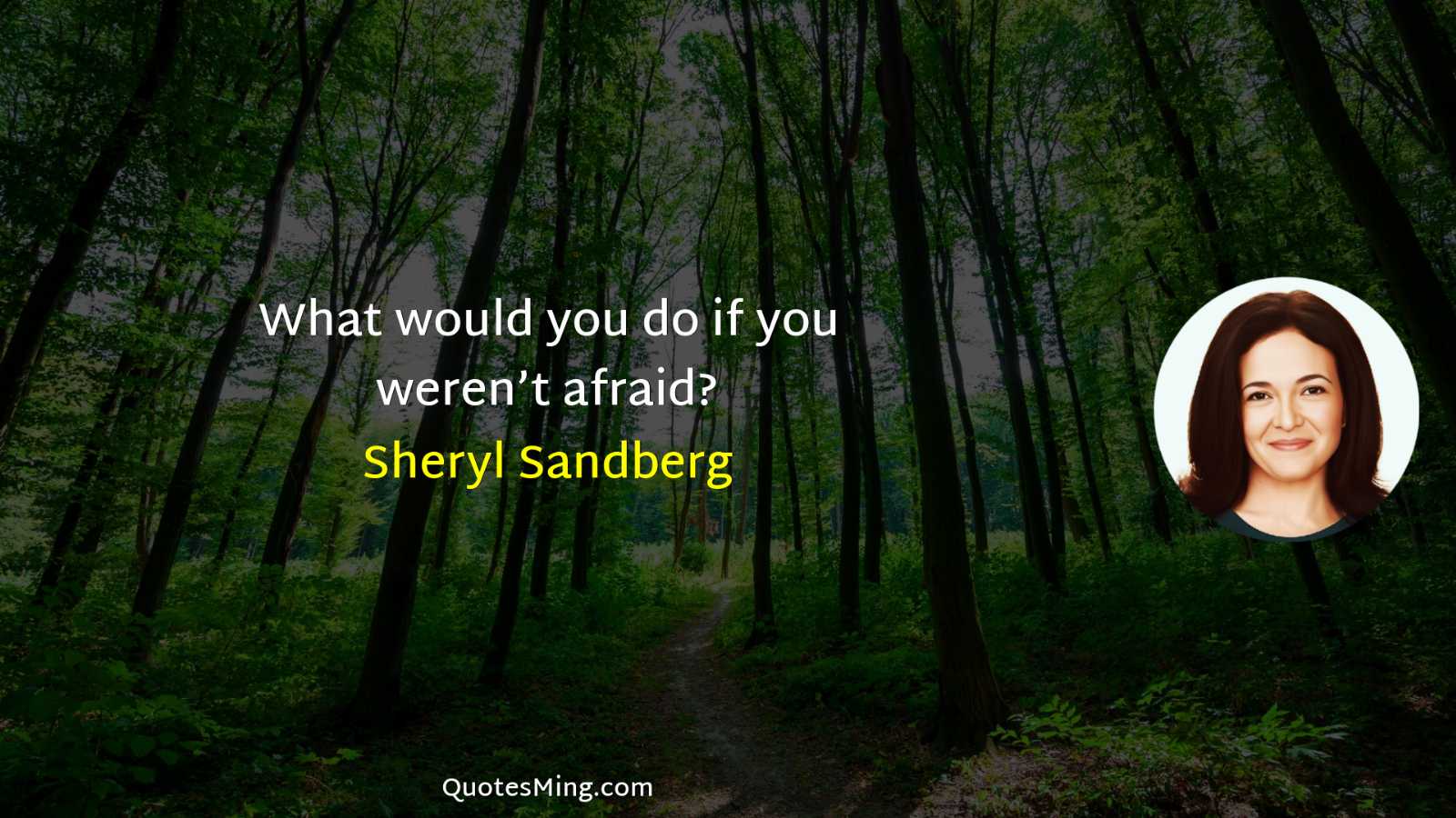 What would you do if you weren’t afraid?