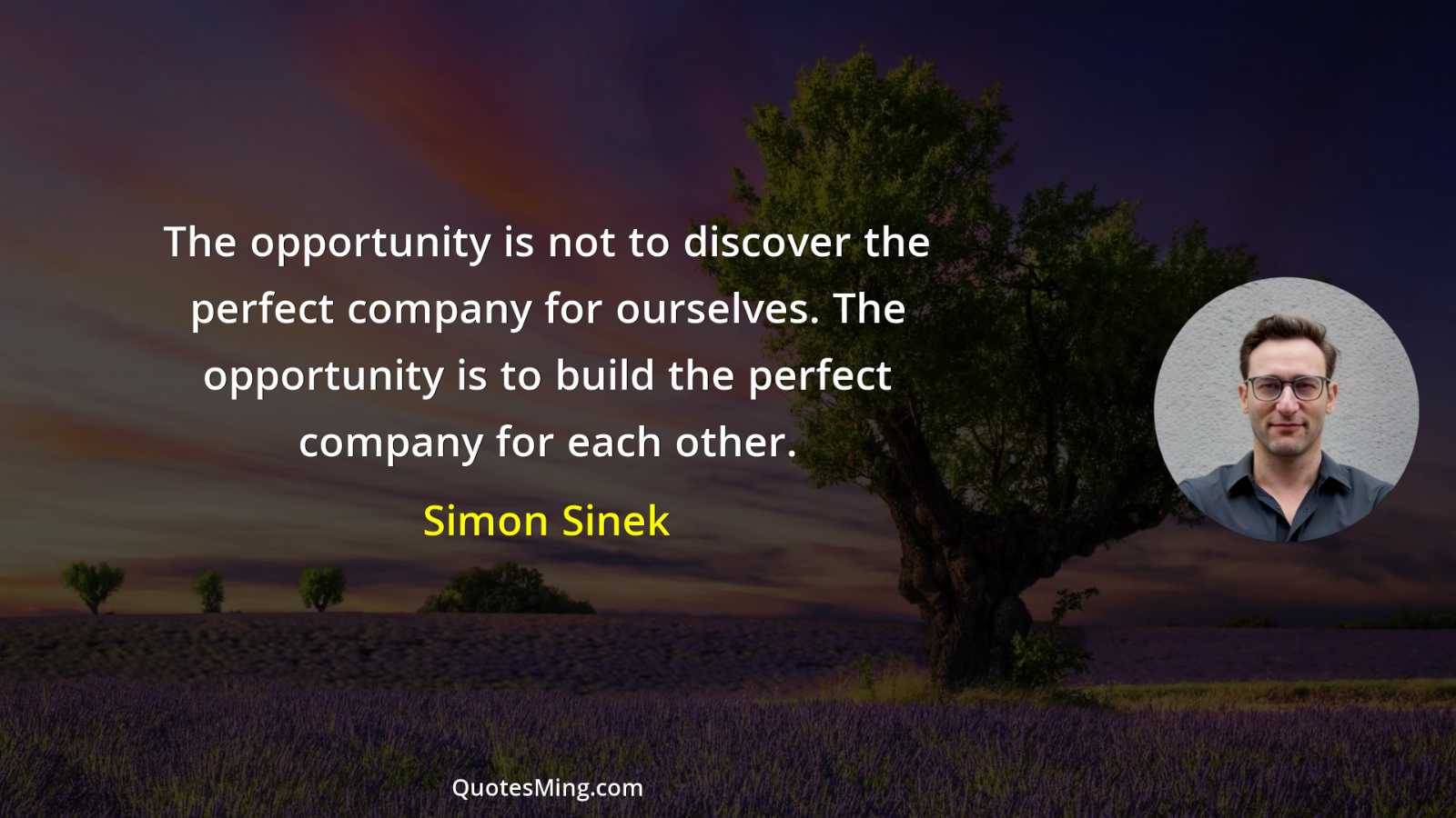 The opportunity is not to discover the perfect company for