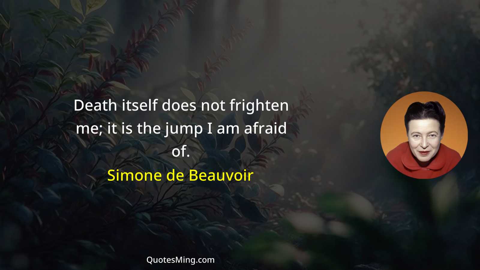 Death itself does not frighten me; it is the jump