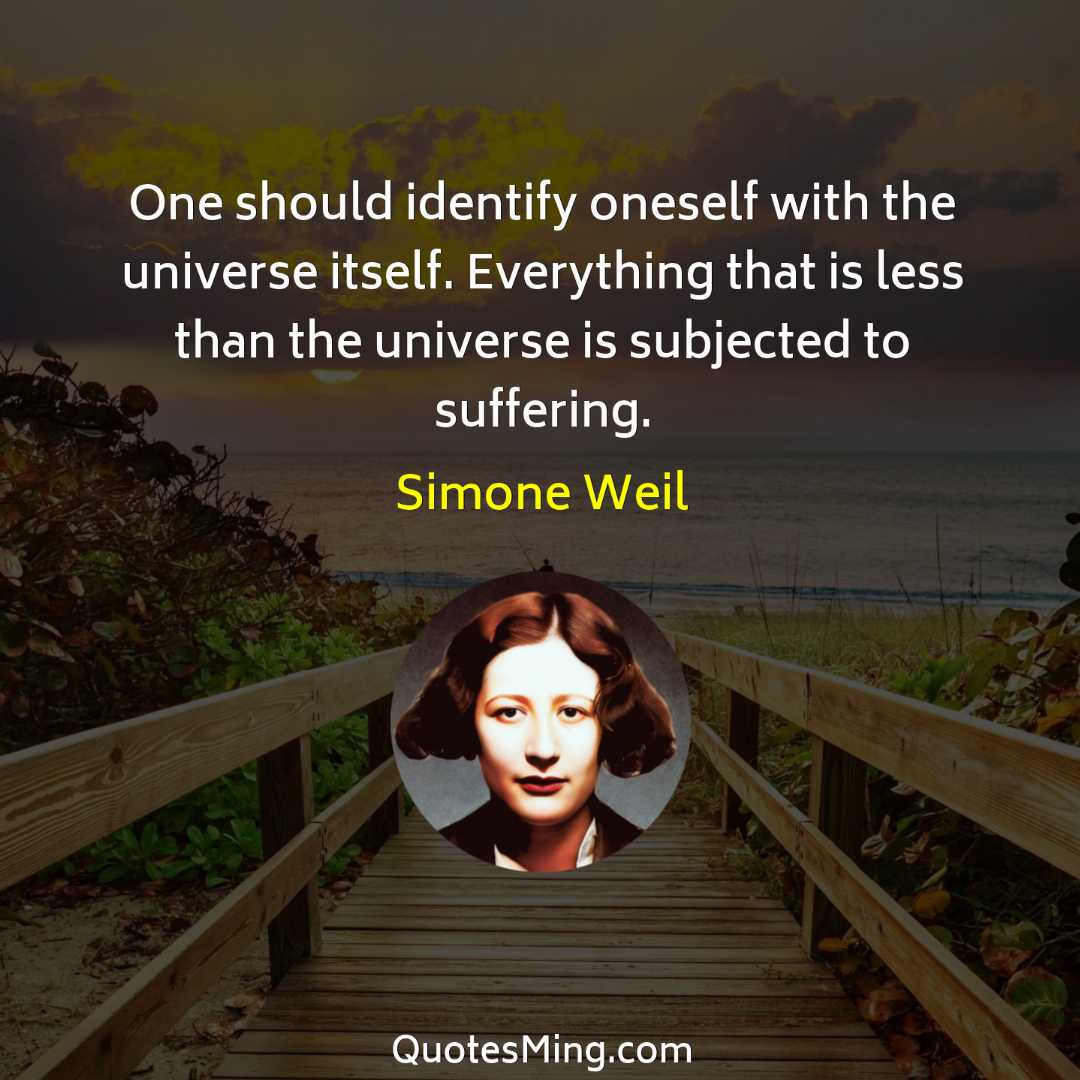 One should identify oneself with the universe itself Everything that