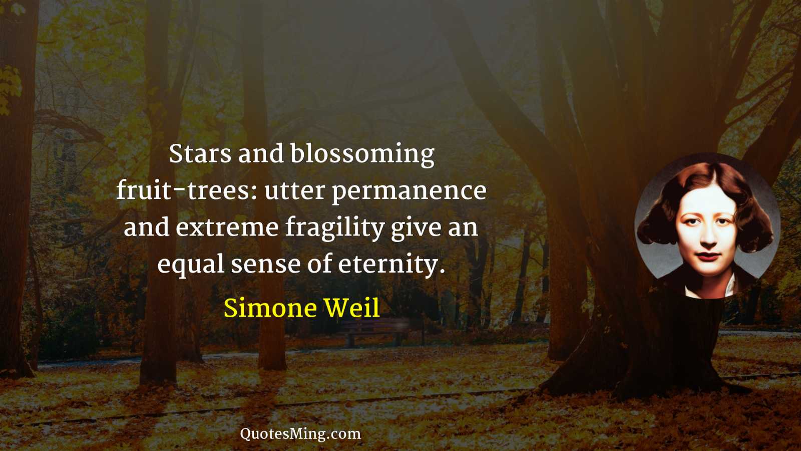 Stars and blossoming fruit-trees: utter permanence and extreme fragility give