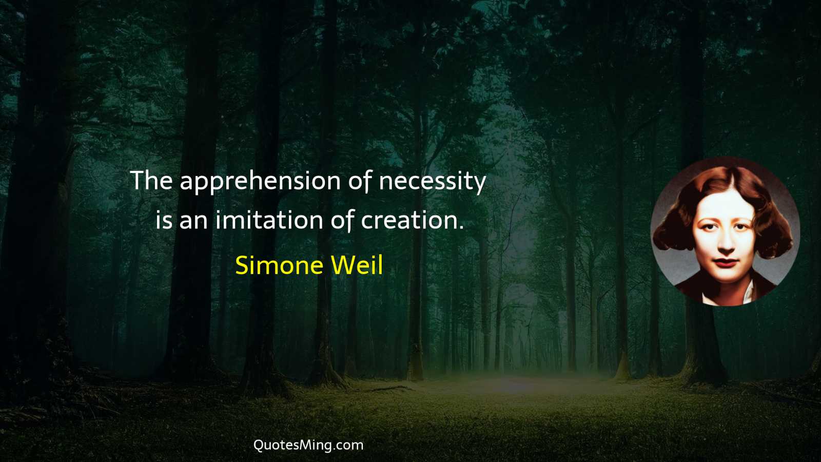 The apprehension of necessity is an imitation of creation