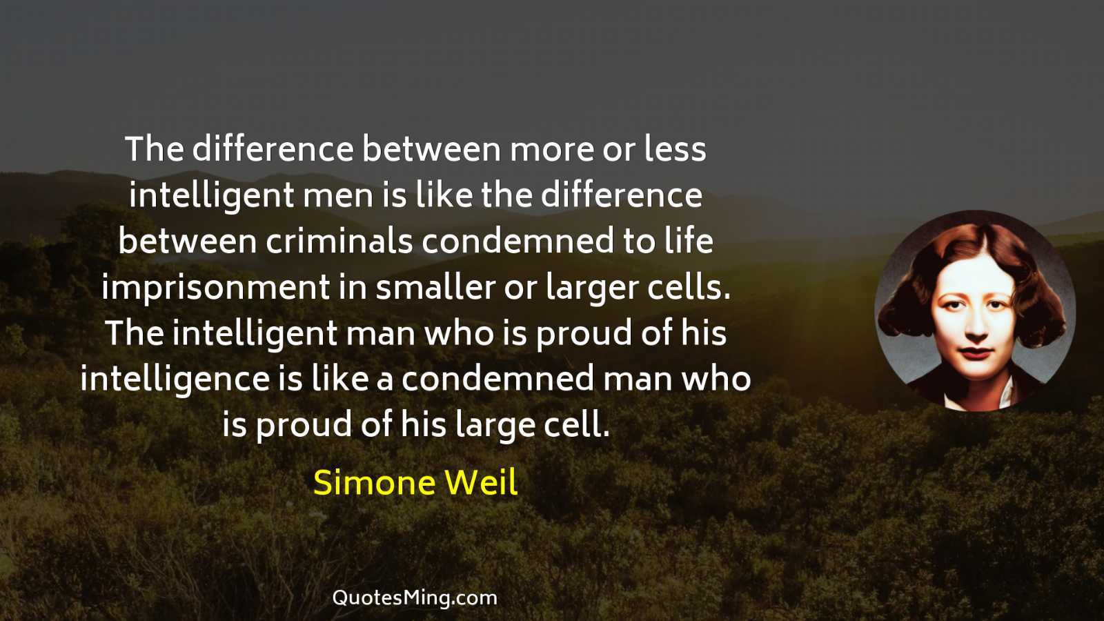 The difference between more or less intelligent men is like