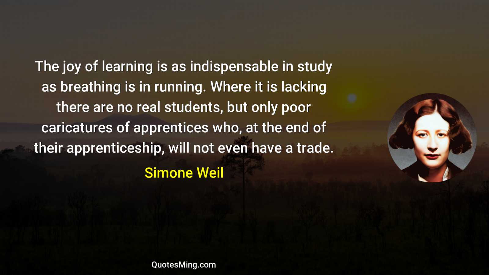 The joy of learning is as indispensable in study as