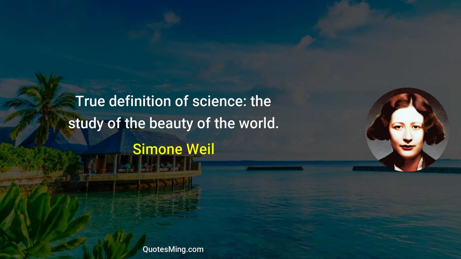 True definition of science: the study of the beauty of