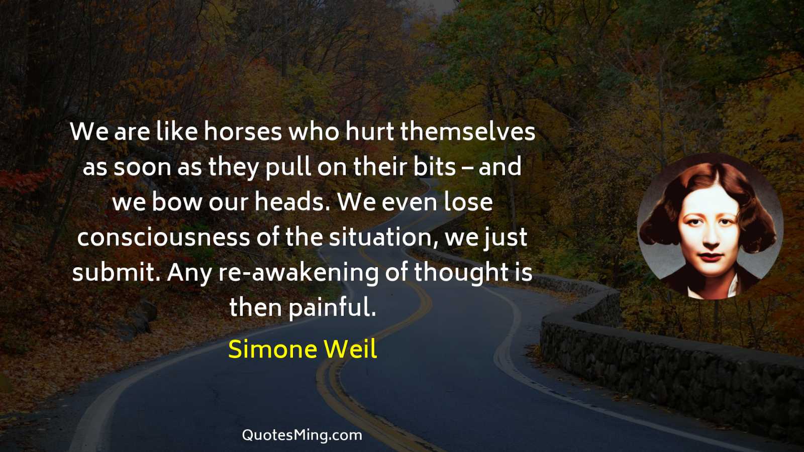 We are like horses who hurt themselves as soon as