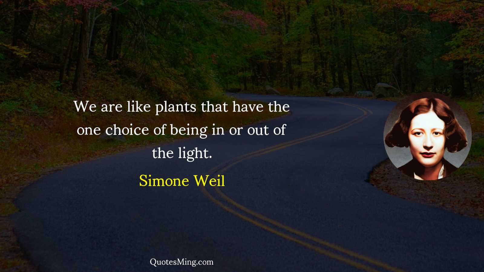 We are like plants that have the one choice of