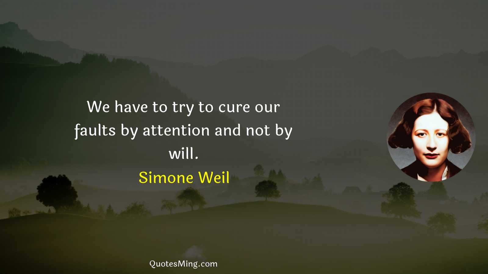 We have to try to cure our faults by attention