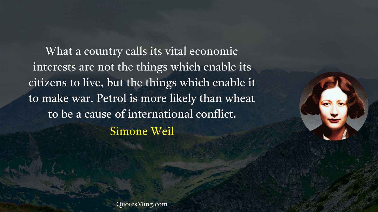 What a country calls its vital economic interests are not