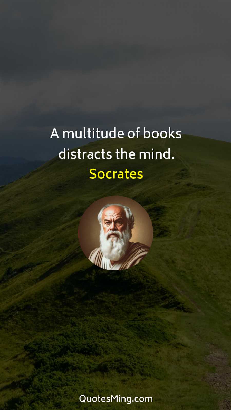 A multitude of books distracts the mind