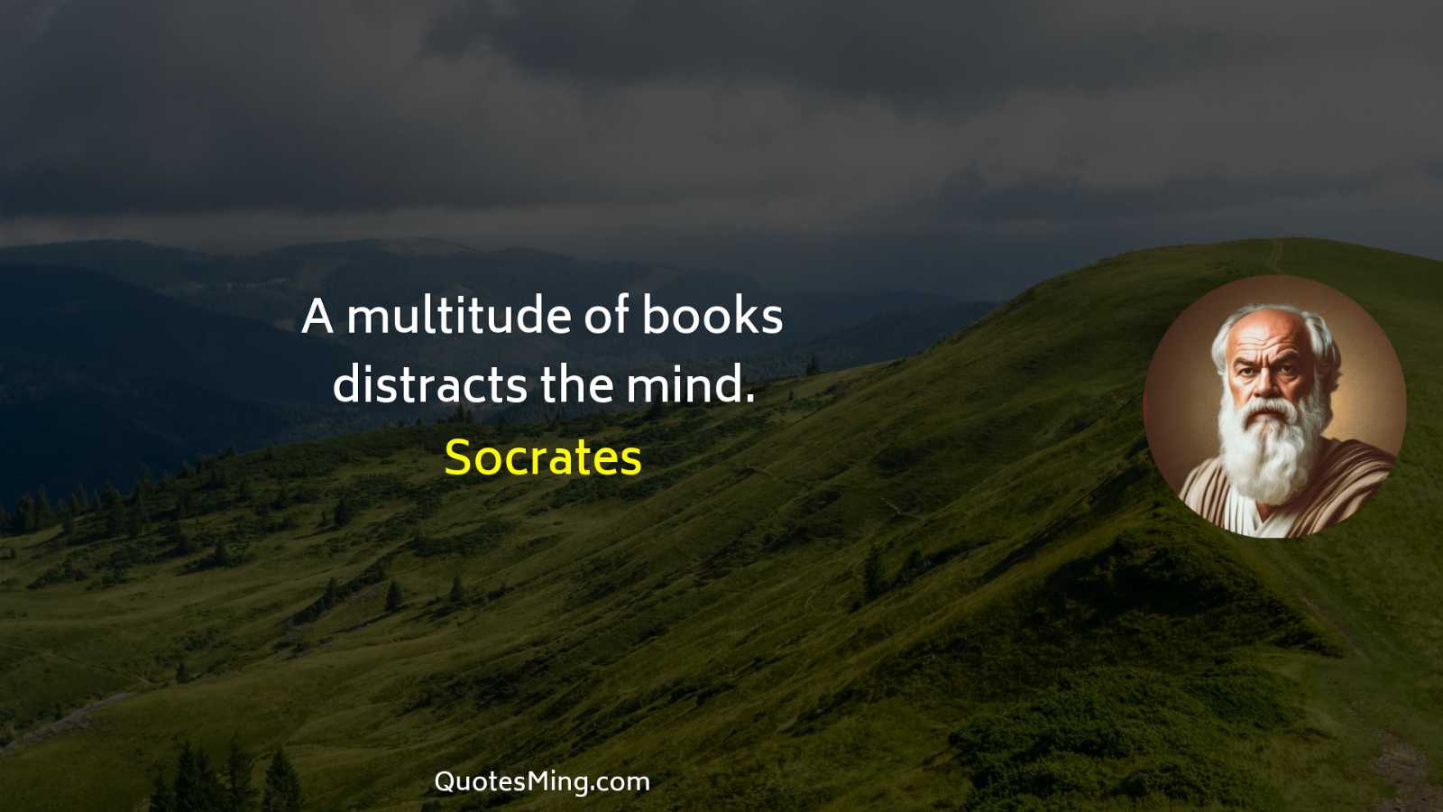 A multitude of books distracts the mind