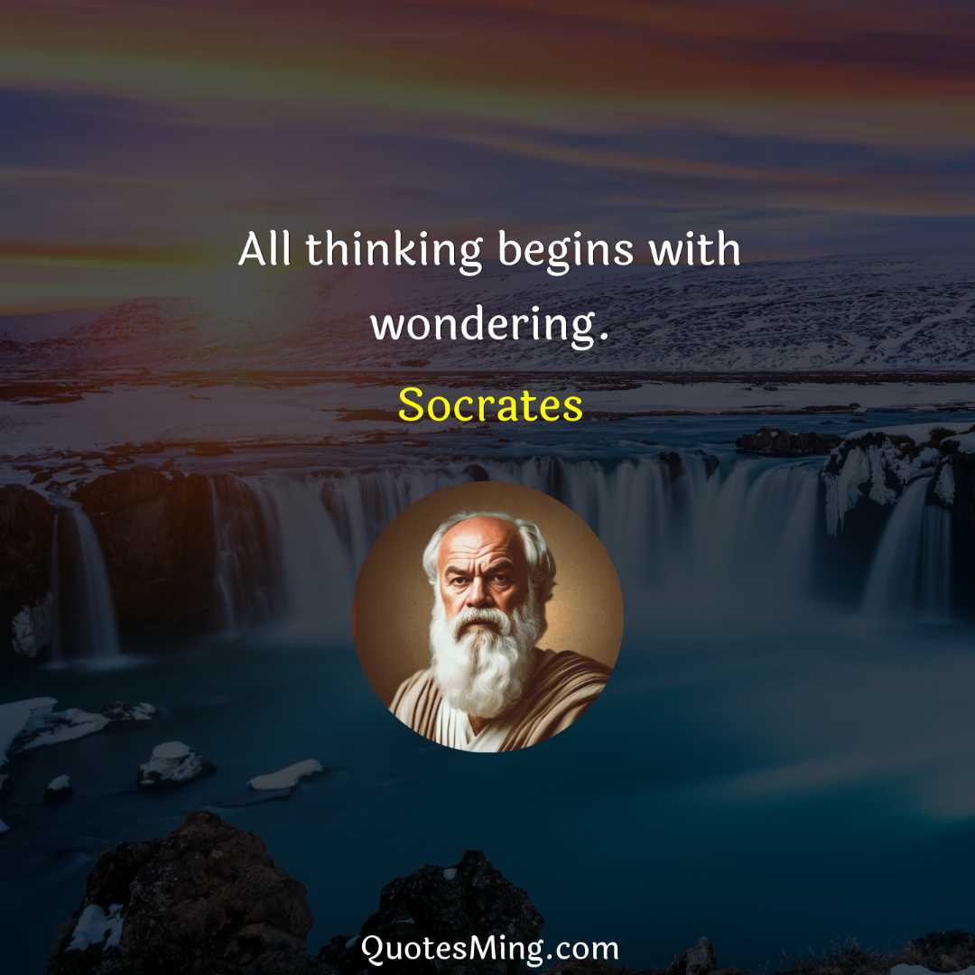 All thinking begins with wondering