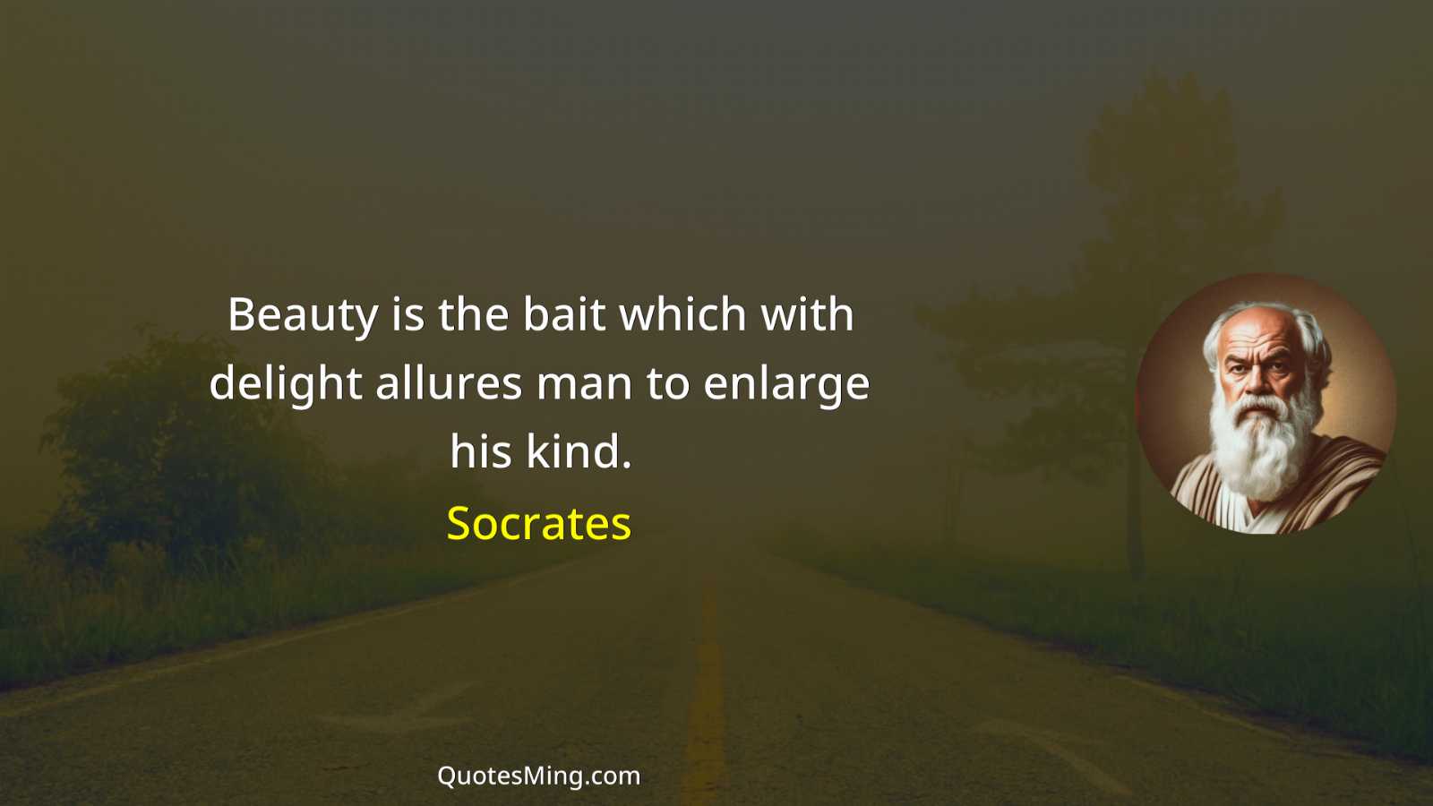 Beauty is the bait which with delight allures man to