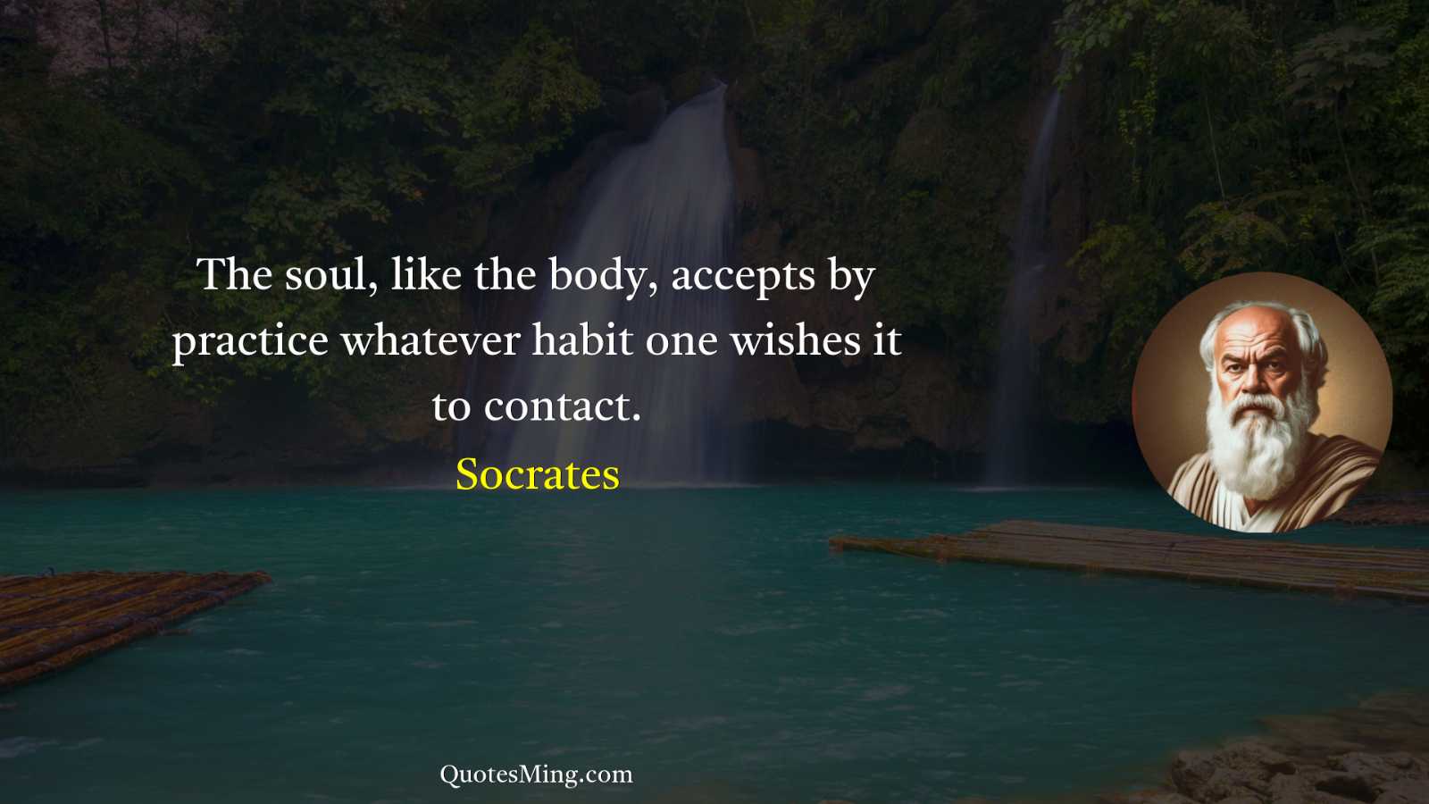 The soul like the body accepts by practice whatever habit