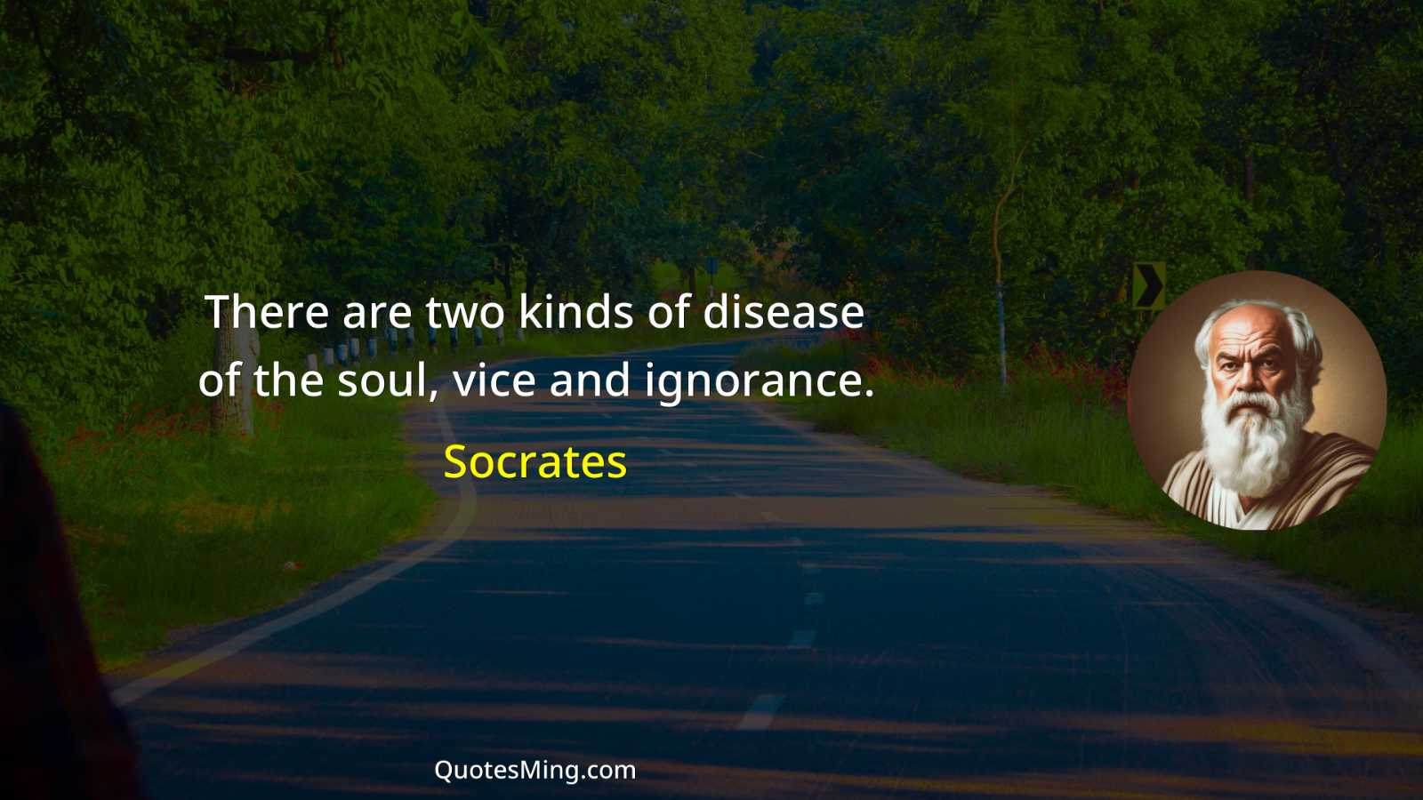 There are two kinds of disease of the soul vice