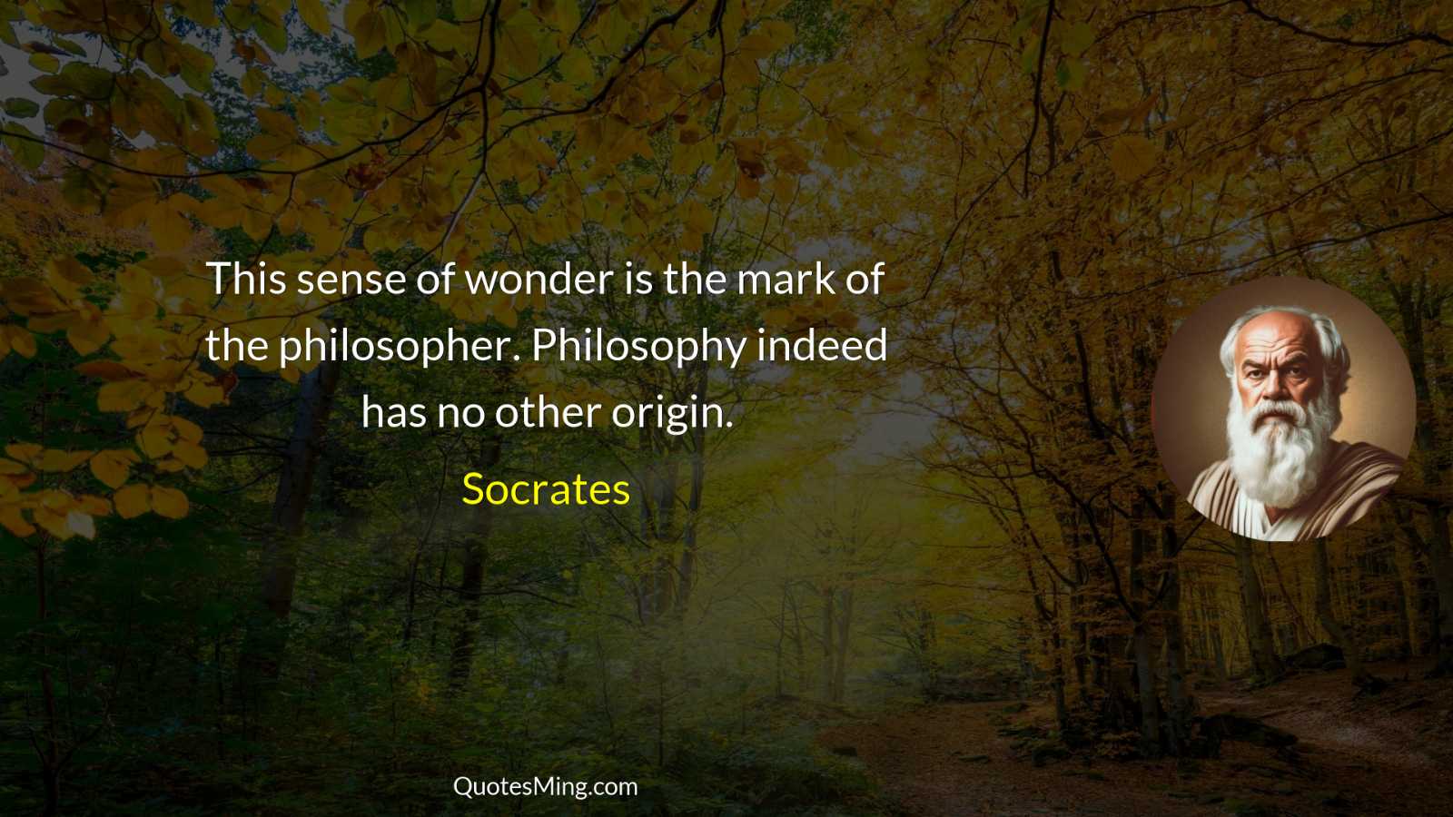 This sense of wonder is the mark of the philosopher