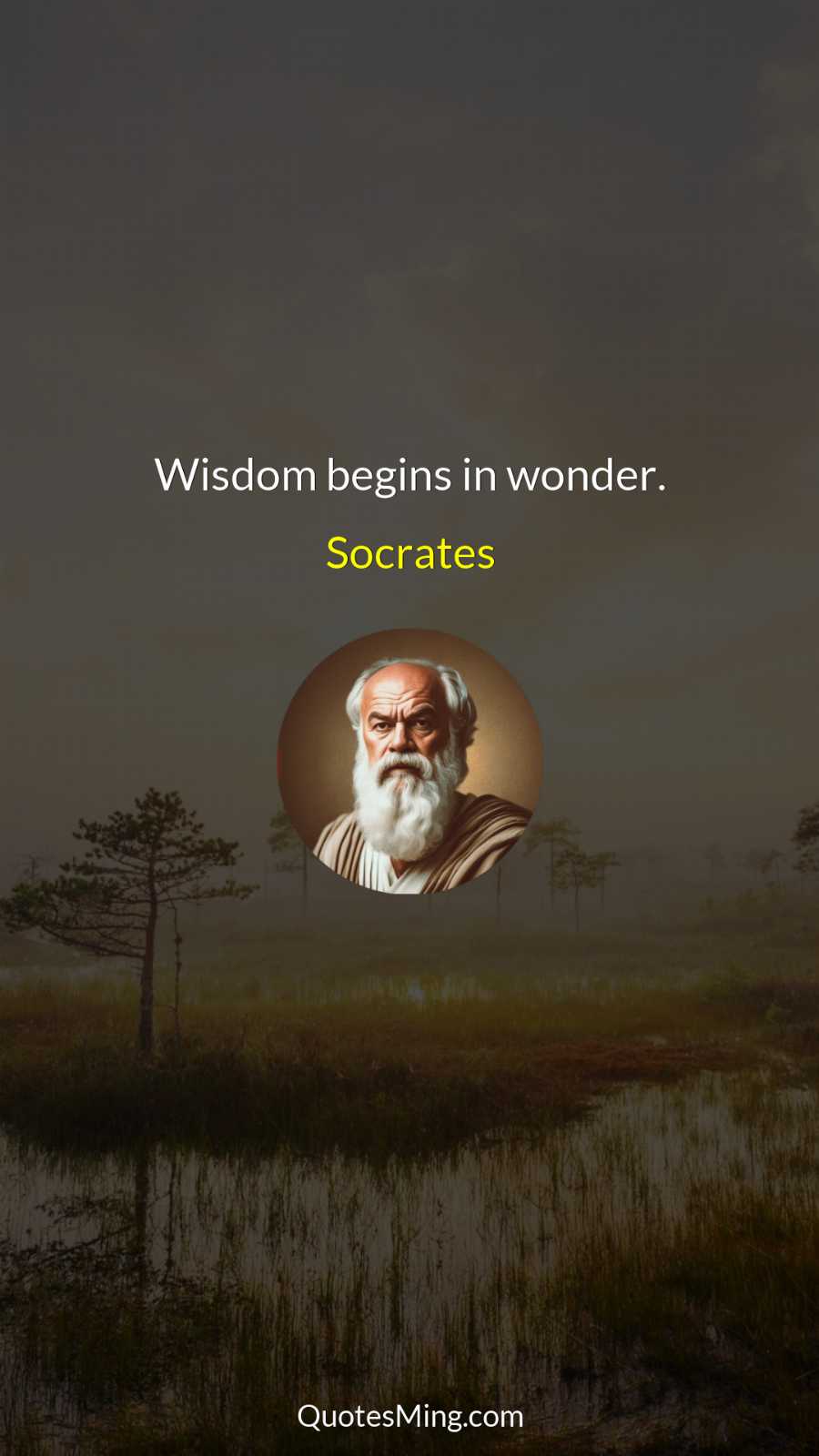 Wisdom begins in wonder