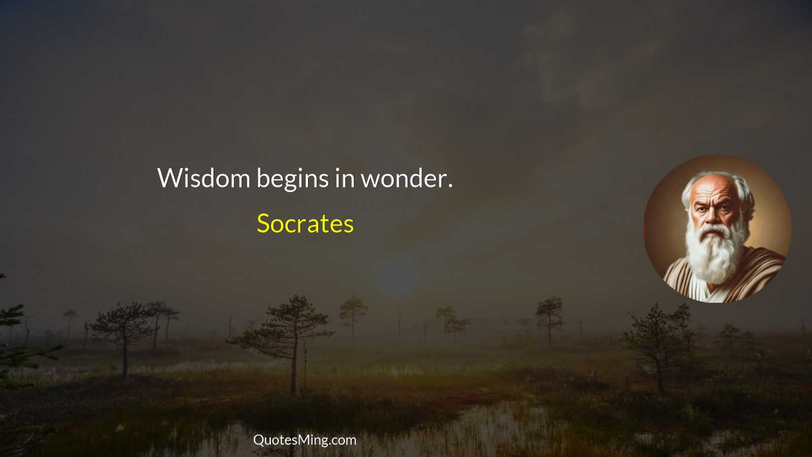 Wisdom begins in wonder