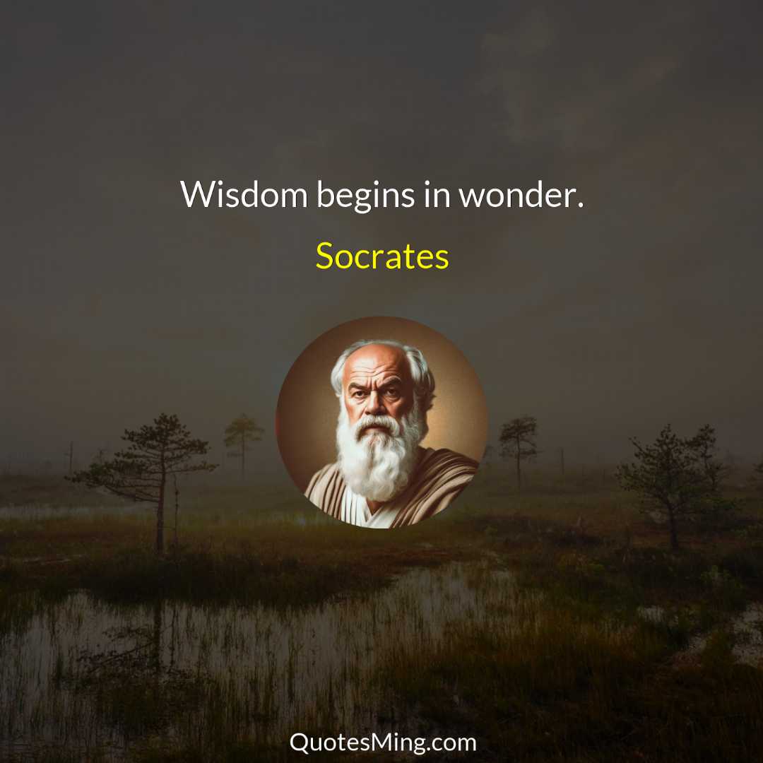 Wisdom begins in wonder