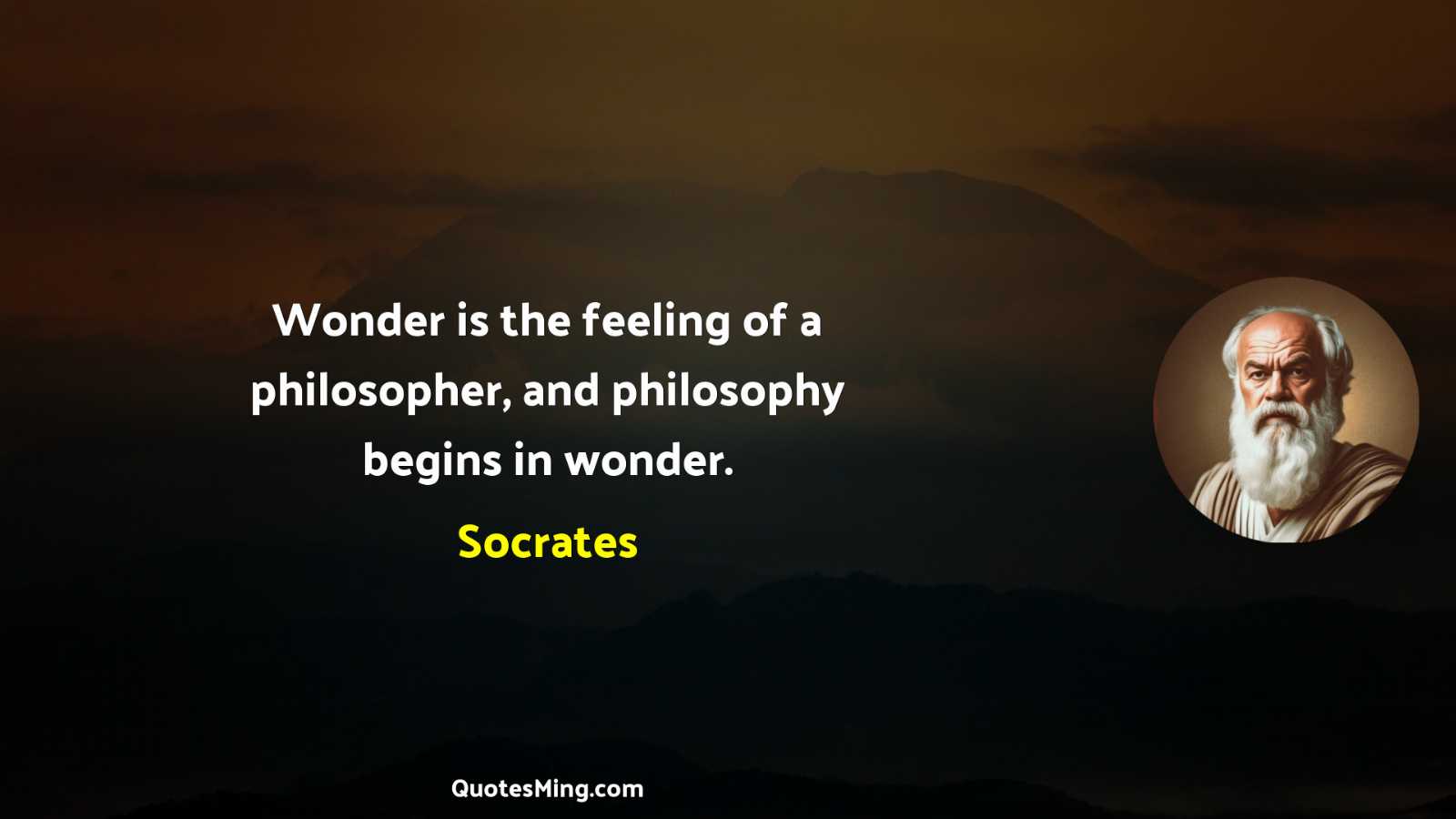 Wonder is the feeling of a philosopher and philosophy begins