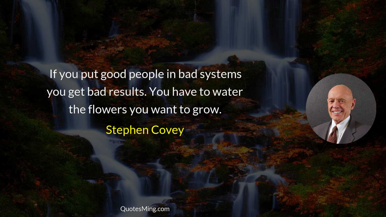 If you put good people in bad systems you get