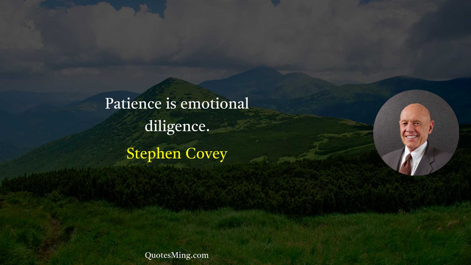 Patience is emotional diligence