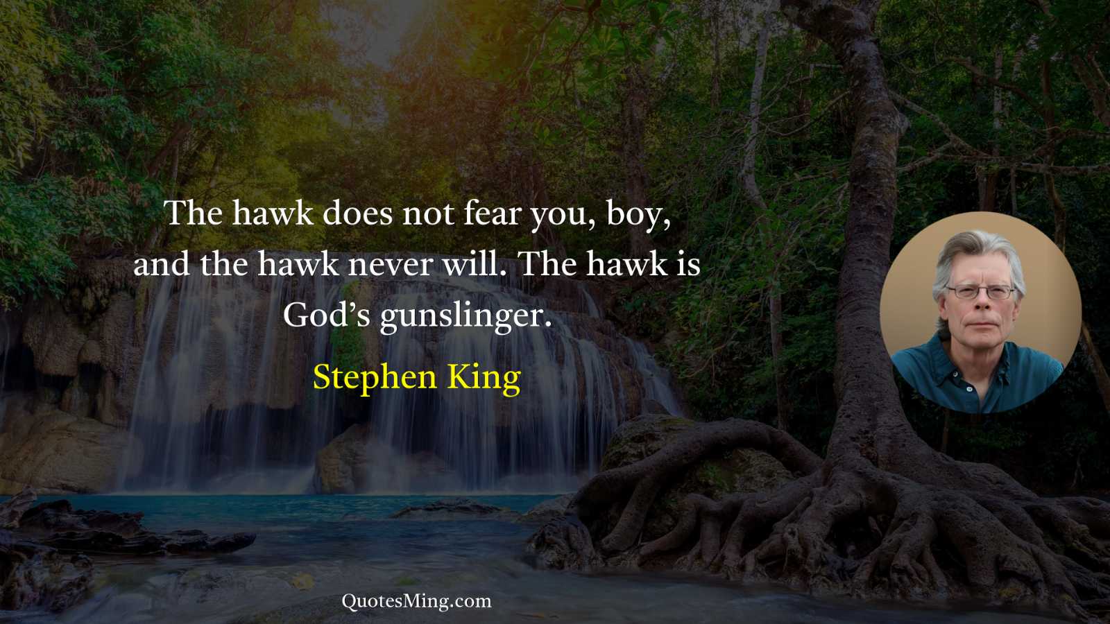 The hawk does not fear you boy and the hawk