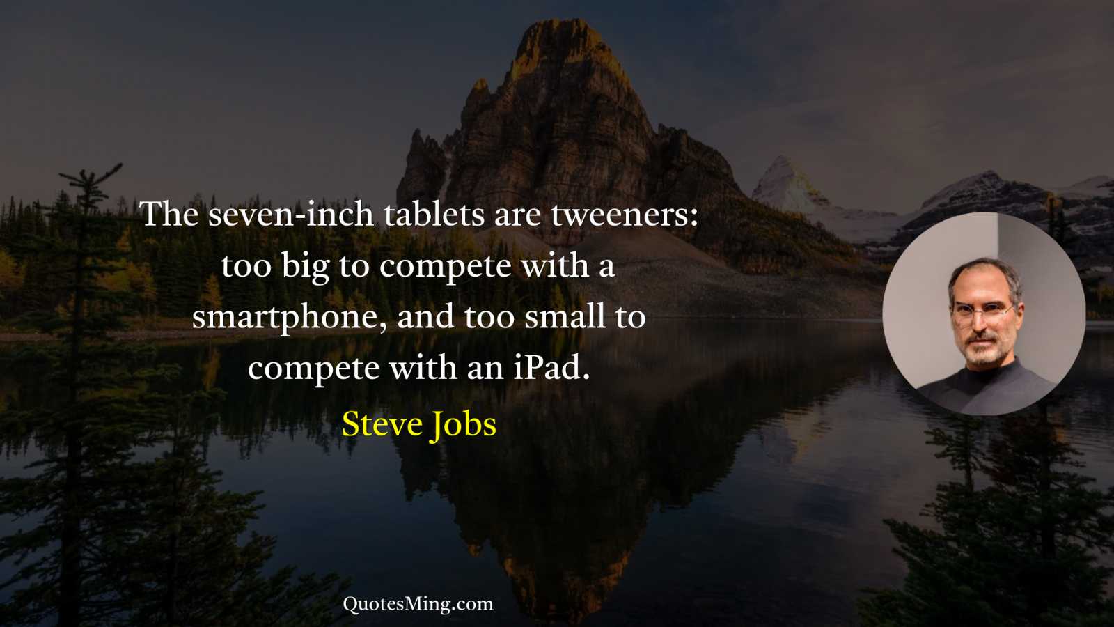 The seven-inch tablets are tweeners: too big to compete with