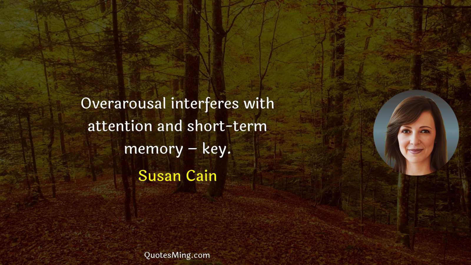 Overarousal interferes with attention and short-term memory – key