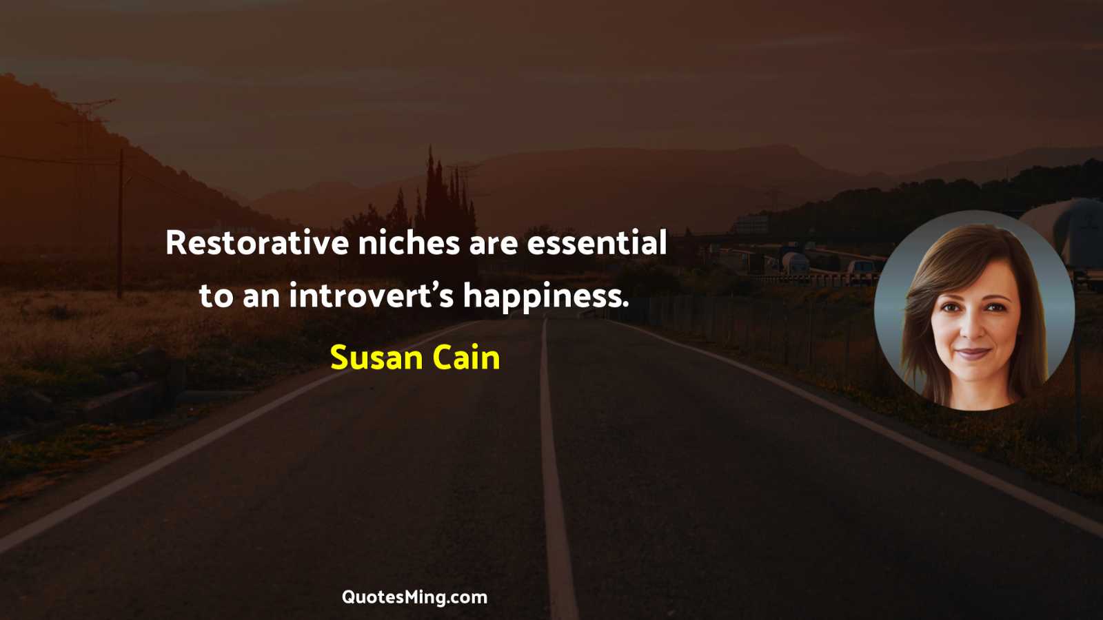 Restorative niches are essential to an introvert’s happiness